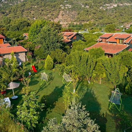 Appartamento Flora Pansiyon Cirali Kemer Esterno foto