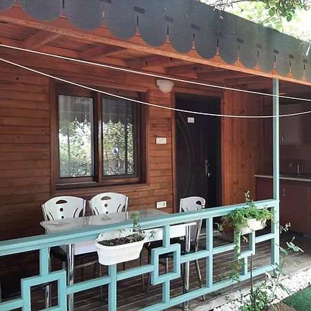 Appartamento Flora Pansiyon Cirali Kemer Esterno foto