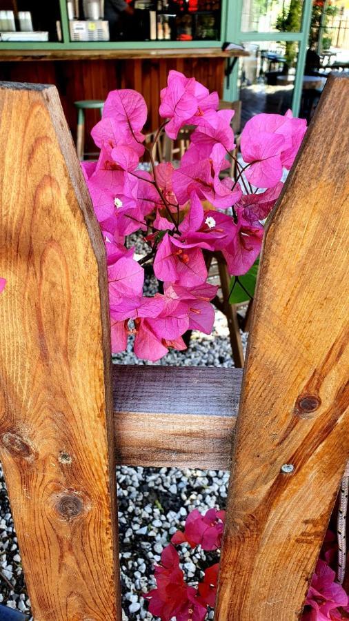 Appartamento Flora Pansiyon Cirali Kemer Esterno foto