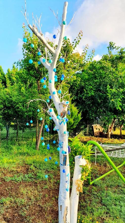 Appartamento Flora Pansiyon Cirali Kemer Esterno foto