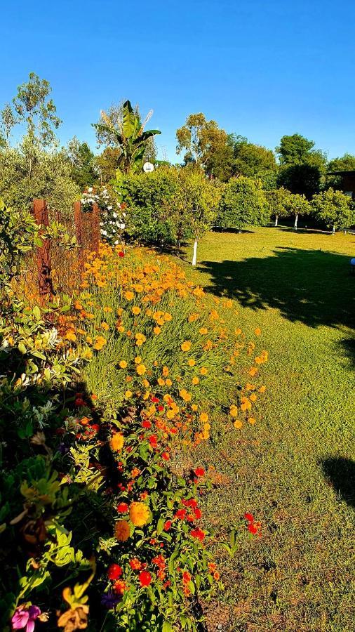 Appartamento Flora Pansiyon Cirali Kemer Esterno foto