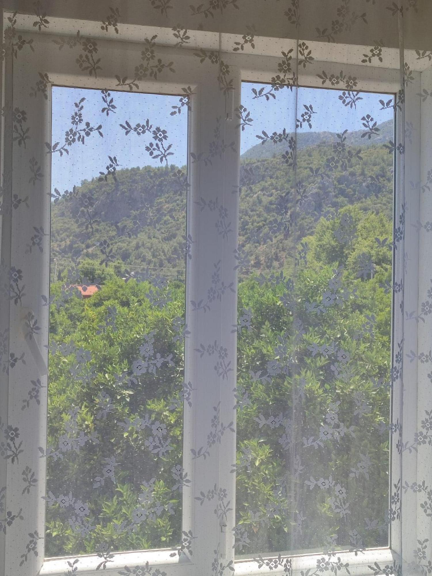 Appartamento Flora Pansiyon Cirali Kemer Esterno foto